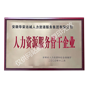 人力资源服务骨干企业 